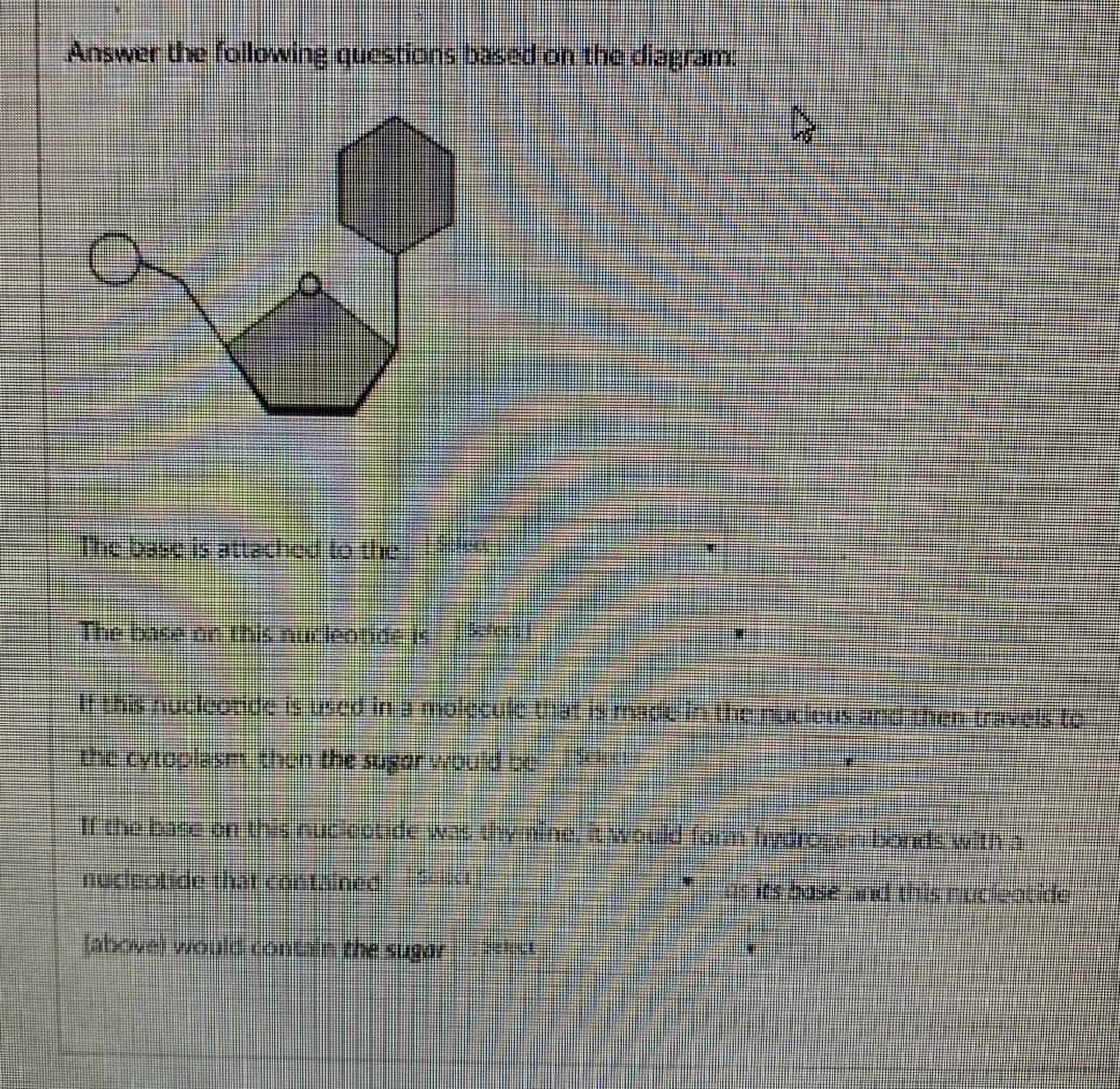 Answer the following questicns based on the diagram
The base on ths mrtrotideK12
If the bare onthsoucleotide was tynihe.it.would fo hydreg.cmbords with a
nucleotide hat.centained
labovel wojule.contain.the sugar
