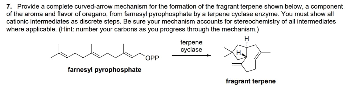 7. Provide a complete curved-arrow mechanism for the formation of the fragrant terpene shown below, a component
of the aroma and flavor of oregano, from farnesyl pyrophosphate by a terpene cyclase enzyme. You must show all
cationic intermediates as discrete steps. Be sure your mechanism accounts for stereochemistry of all intermediates
where applicable. (Hint: number your carbons as you progress through the mechanism.)
H
terpene
cyclase
H.
ОPP
farnesyl pyrophosphate
fragrant terpene
