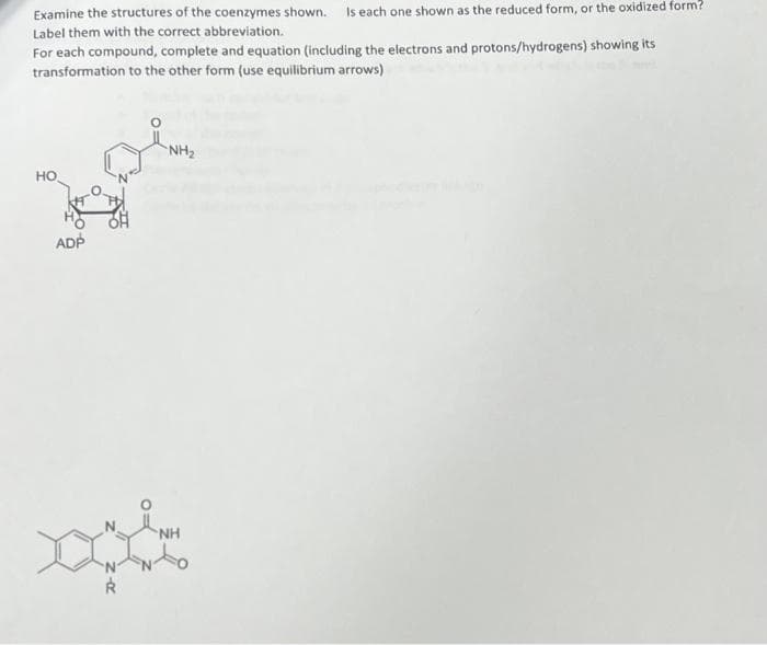 Examine the structures of the coenzymes shown. Is each one shown as the reduced form, or the oxidized form?
Label them with the correct abbreviation.
For each compound, complete and equation (including the electrons and protons/hydrogens) showing its
transformation to the other form (use equilibrium arrows)
NH2
но
ADÞ
NH
