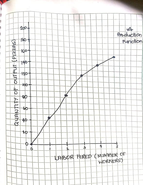 200
Production
Function
140-
120-
40
20
LABOR HIREP (NUMBEK OF
WORKERS)
QUANTITY OF ourPut (PIZZAS)
