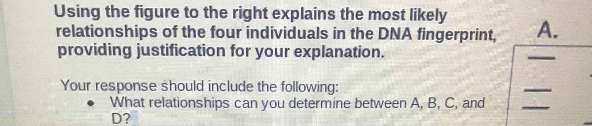 Using the figure to the right explains the most likely
relationships of the four individuals in the DNA fingerprint,
providing justification for your explanation.
A.
Your response should include the following:
• What relationships can you determine between A, B, C, and
D?
