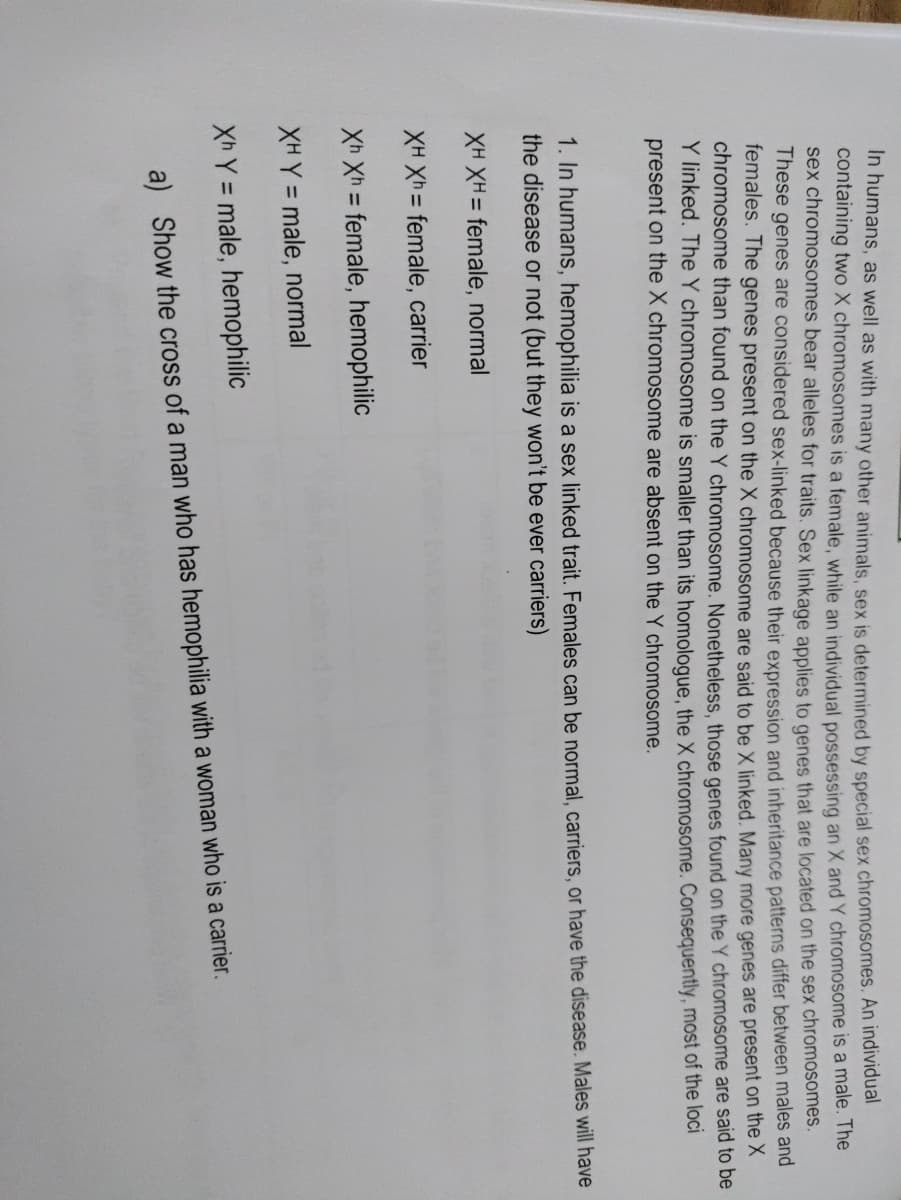 in humans, as well as with many other animals, sex is determined by special sex chromosomes. An individuai
containing two X chromosomes is a female, while an individual possessing an X and Y chromosome is a male. The
sex chromosomes bear alleles for traits. Sex linkage applies to genes that are located on the sex chromosomes.
These genes are considered sex-linked because their expression and inheritance patterns differ between males and
females. The genes present on the X chromosome are said to be X linked. Many more genes are present on the A
chromosome than found on the Y chromosome. Nonetheless, those genes found on the Y chromosome are said to be
Y linked. The Y chromosome is smaller than its homoloque, the X chromosome. Consequently, most of the loci
present on the X chromosome are absent on the Y chromosome.
1. In humans, hemophilia is a sex linked trait. Females can be normal, carriers, or have the disease. Males will have
the disease or not (but they won't be ever carriers)
XH XH = female, normal
XH Xh = female, carrier
%3D
Xh Xh = female, hemophilic
%3D
XH Y = male, normal
Xh Y = male, hemophilic
a) Show the cross of a man who has hemophilia with a woman who is a carrier.
