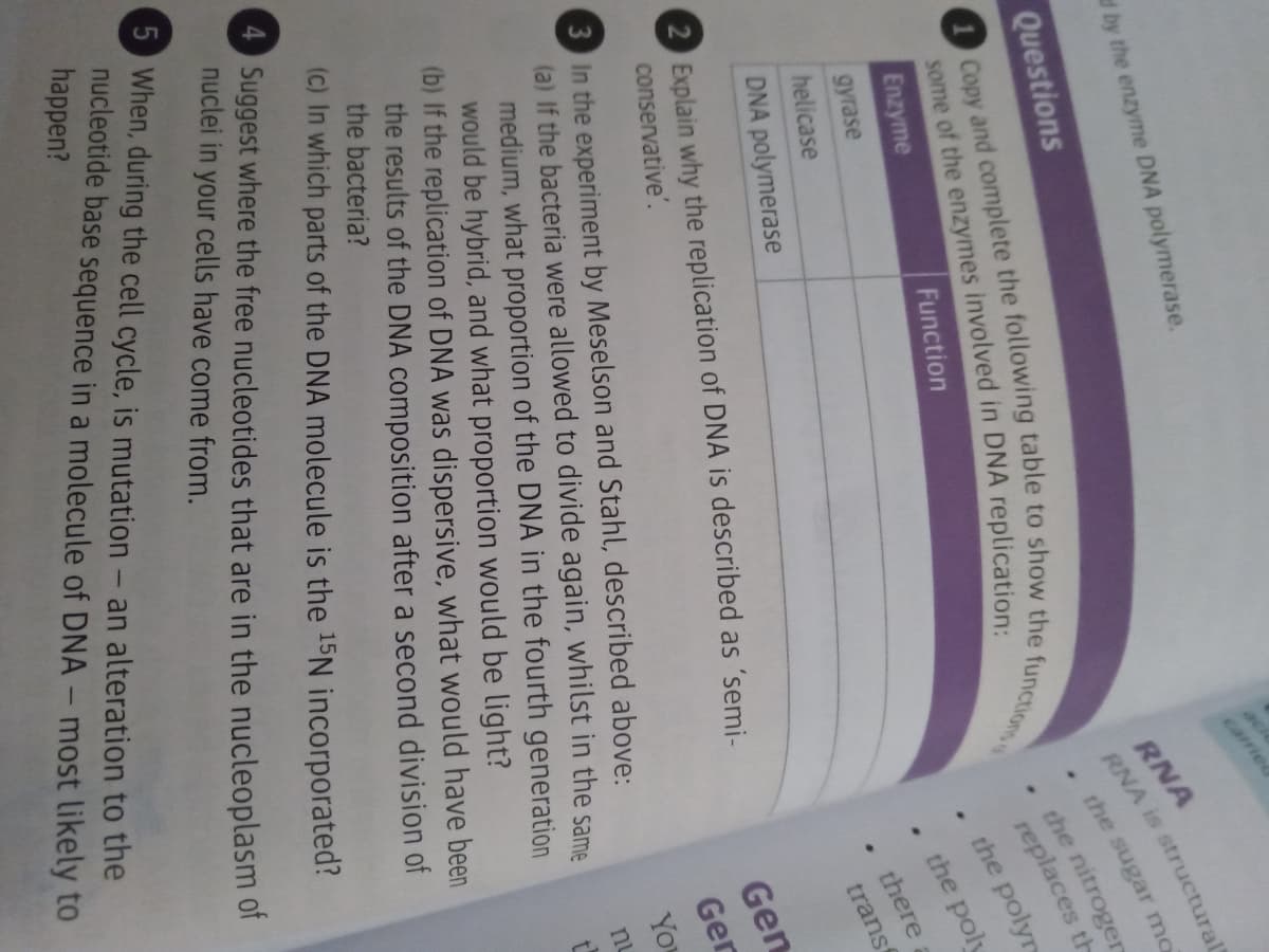 d by the enzyme DNA polymerase.
ack
carried
Questions
RNA
RNA is structural
the sugar mo
the nitroger
replaces th
Enzyme
Function
gyrase
the polyr
helicase
the poly
DNA polymerase
there
2 Explain why the replication of DNA is described as 'semi-
transt
conservative'.
3 In the experiment by Meselson and Stahl, described above:
(a) If the bacteria were allowed to divide again, whilst in the same
medium, what proportion of the DNA in the fourth generation
would be hybrid, and what proportion would be light?
(b) If the replication of DNA was dispersive, what would have been
the results of the DNA composition after a second division of
the bacteria?
(c) In which parts of the DNA molecule is the 15N incorporated?
Gen
Ger
Yo
nu
t
4 Suggest where the free nucleotides that are in the nucleoplasm of
nuclei in your cells have come from.
5 When, during the cell cycle, is mutation - an alteration to the
nucleotide base sequence in a molecule of DNA - most likely to
happen?
some of the in replication:
Copy and the table to the functions
