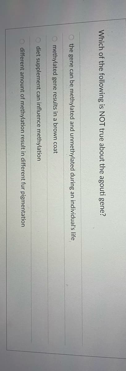 Which of the following is NOT true about the agouti gene?
the gene can be methylated and unmethylated during an individual's life
O methylated gene results in a brown coat
diet supplement can influence methylation
O different amount of methylation result in different fur pigmentation
