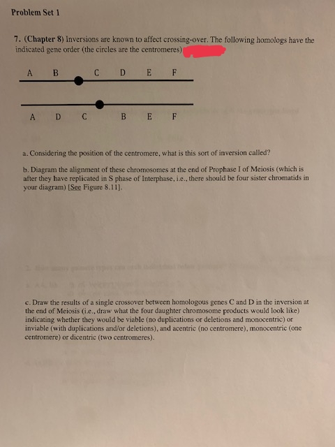 Problem Set 1
7. (Chapter 8) Inversions are known to affect crossing-over. The following homologs have the
indicated gene order (the circles are the centromeres);
A
B
C
D
E
F
A D C
BE F
a. Considering the position of the centromere, what is this sort of inversion called?
b. Diagram the alignment of these chromosomes at the end of Prophase I of Meiosis (which is
after they have replicated in S phase of Interphase, i.e., there should be four sister chromatids in
your diagram) [See Figure 8.11].
c. Draw the results of a single crossover between homologous genes C and D in the inversion at
the end of Meiosis (i.e., draw what the four daughter chromosome products would look like)
indicating whether they would be viable (no duplications or deletions and monocentric) or
inviable (with duplications and/or deletions), and acentric (no centromere), monocentric (one
centromere) or dicentric (two centromeres).