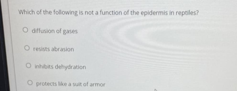 Which of the following is not a function of the epidermis in reptiles?
O diffusion of gases
O resists abrasion
O inhibits dehydration
O protects like a suit of armor
