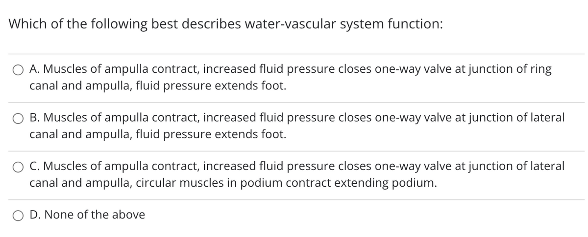 Which of the following best describes water-vascular system function:
O A. Muscles of ampulla contract, increased fluid pressure closes one-way valve at junction of ring
canal and ampulla, fluid pressure extends foot.
B. Muscles of ampulla contract, increased fluid pressure closes one-way valve at junction of lateral
canal and ampulla, fluid pressure extends foot.
O C. Muscles of ampulla contract, increased fluid pressure closes one-way valve at junction of lateral
canal and ampulla, circular muscles in podium contract extending podium.
O D. None of the above
