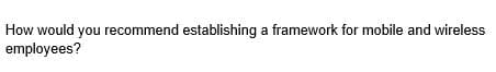 How would you recommend establishing a framework for mobile and wireless
employees?