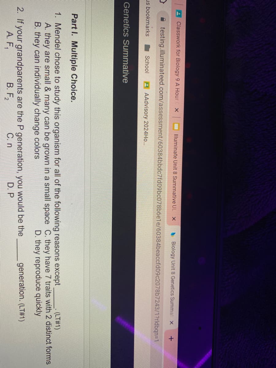 AClasswork for Biology 9 A Hour
O Illuminate Unit 8 Summative UL x
S Biology Unit 8 Genetics Summat x
A testing.illuminateed.com/assessment/60384bbdc7fd09bc078b6ele/60384beaccfd09c2078b7243/12?rldbqn=1
us bookmarks
School
A AAdvisory 2024H..
Genetics Summative
Part I. Multiple Choice.
(LT#1)
1. Mendel chose to study this organism for all of the following reasons except
A. they are small & many can be grown in a small space C. they have 7 traits with 2 distinct forms
B. they can individually change colors
D. they reproduce quickly
generation. (LT#1)
2. If your grandparents are the P generation, you would be the
A. F,
В. F.
С. n
D. P
