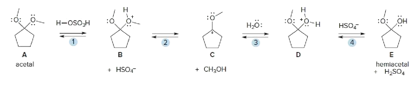 Н
H.
:0: 0.
:0: *0-H
:0: OH
H-OSO;H
:0
но:
HSO.
+t
acetal
hemiacetal
+ HSO
+ CH3OH
+ H2SO4
