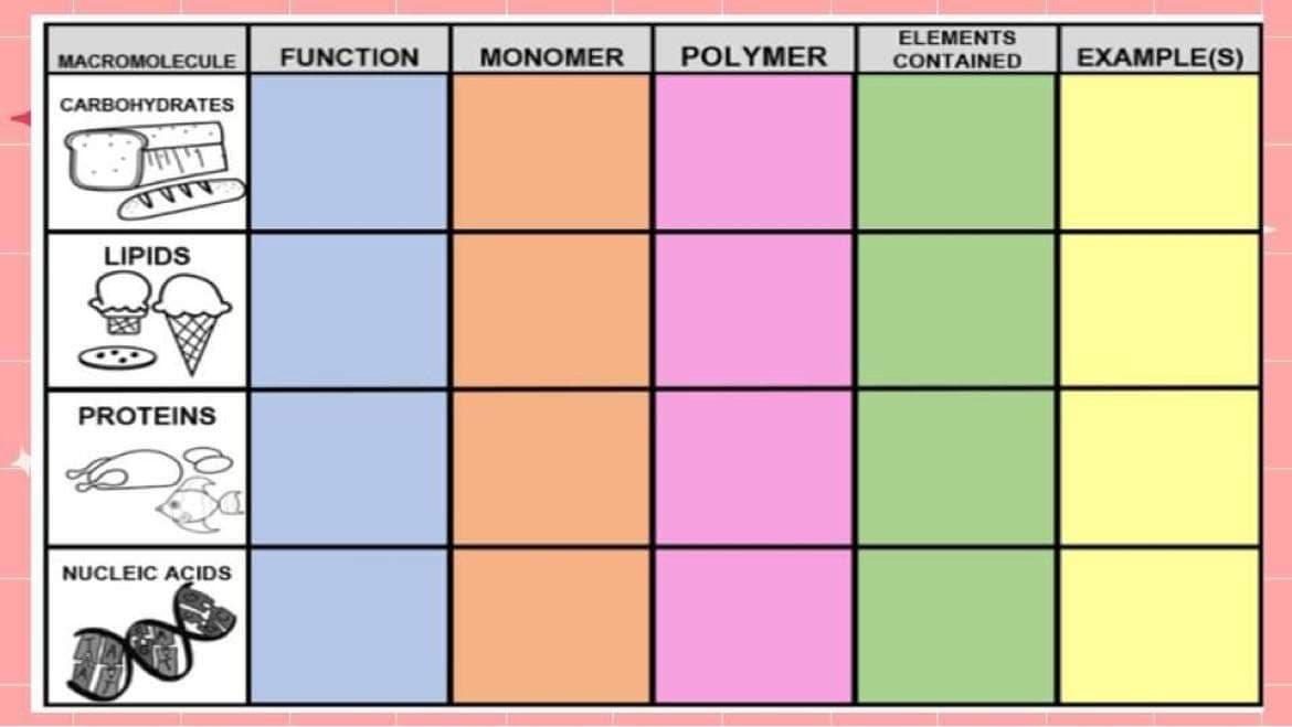 ELEMENTS
FUNCTION
MONOMER
POLYMER
EXAMPLE(S)
MACROMOLECULE
CONTAINED
CARBOHYDRATES
LIPIDS
PROTEINS
NUCLEIC ACIDS
