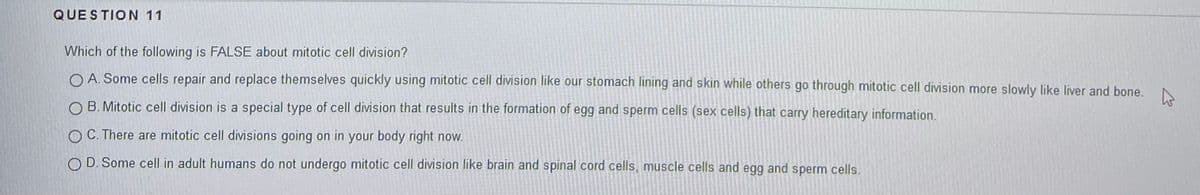 QUE STION 11
Which of the following is FALSE about mitotic cell division?
O A. Some cells repair and replace themselves quickly using mitotic cell division like our stomach lining and skin while others go through mitotic cell division more slowly like liver and bone.
O B. Mitotic cell division is a special type of cell division that results in the formation of egg and sperm cells (sex cells) that carry hereditary information.
O C. There are mitotic cell divisions going on in your body right now.
O D. Some cell in adult humans do not undergo mitotic cell division like brain and spinal cord cells, muscle cells and egg and sperm cells.
