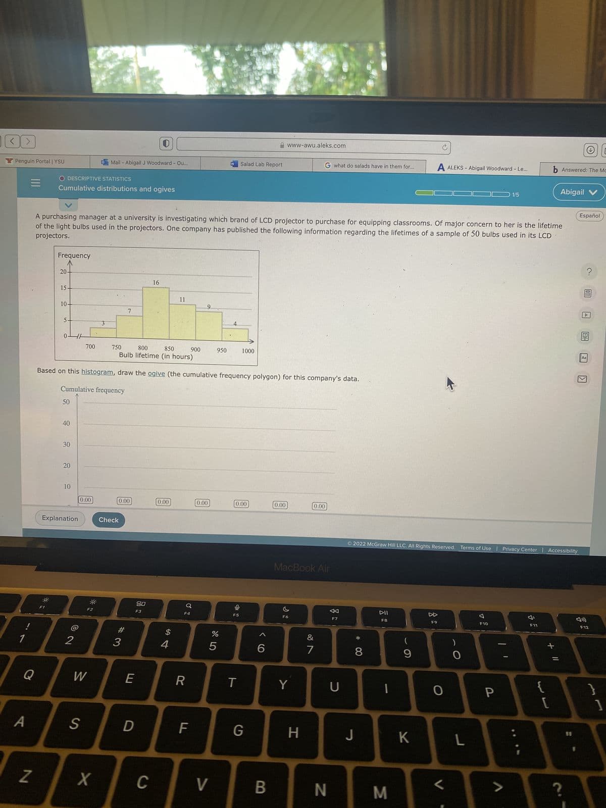 Y Penguin Portal | YSU
!
1
Q
A
N
O DESCRIPTIVE STATISTICS
Cumulative distributions and ogives
Frequency
F1
20-
15-
10-
50
40
A purchasing manager at a university is investigating which brand of LCD projector to purchase for equipping classrooms. Of major concern to her is the lifetime
projectors.
of the light bulbs used in the projectors. One company has published the following information regarding the lifetimes of a sample of 50 bulbs used in its LCD
30
20
10
Explanation
2
700
0.00
W
S
F2
Mail - Abigail J Woodward - Ou...
3
X
750
800 850
Bulb lifetime (in hours)
Based on this histogram, draw the ogive (the cumulative frequency polygon) for this company's data.
Cumulative frequency
7
0.00
Check
#3
E
0
D
80
F3
16
C
0.00
$
11
S4
F4
R
900
F
0.00
950
V
W
%
65
4
Salad Lab Report
F5
1000
0.00
T
G
6
www-awu.aleks.com
B
0.00
F6
MacBook Air
Y
G what do salads have in them for...
0.00
H
&
7
N
F7
U
J
*
8
Ⓒ2022 McGraw Hill LLC. All Rights Reserved. Terms of Use | Privacy Center | Accessibility
DII
F8
1
M
(
9
A ALEKS - Abigail Woodward - Le...
K
F9
O
<
L
F10
1/5
P
>
F11
{
b Answered: The Mc
+ 11
Abigail V
[
?
Español
?
A
181
Aa
▶
F12
}
]