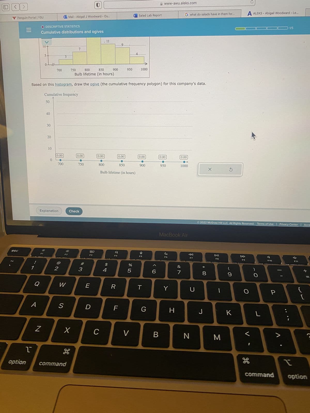 Y Penguin Portal | YSU
esc
=
1
1
A
O DESCRIPTIVE STATISTICS
Cumulative distributions and ogives
Q
10+
F1
5.
Z
0
50
40
30
20
10
0
700
800
850
Bulb lifetime (in hours)
Based on this histogram, draw the ogive (the cumulative frequency polygon) for this company's data.
Cumulative frequency
Explanation
0.00
700
2
3
S
F2
W
Mail - Abigail J Woodward - Ou...
750
X
H
option command
дв
7
Check
0.00
750
#3
20
F3
E
D
0.00
800
с
11
900
$
4
F4
9
850
Bulb lifetime (in hours)
R
F
950
0.00
6 5⁰
%
W
5
V
Salad Lab Report
1000
0.00
900
F5
T
G
O >
6
www-awu.aleks.com
B
0.00
950
F6
Y
G what do salads have in them for...
MacBook Air
H
0.00
1000
&
7
F7
U
N
00 *
8
X
J
Ⓒ2022 McGraw Hill LLC. All Rights Reserved. Terms of Use | Privacy Center | Acce
DII
F8
I
5
M
(
9
K
A ALEKS- Abigail Woodward - Le...
F9
O
O
L
F10
P
-
1/5
>
Y
F11
{
+
[
||
?
command option