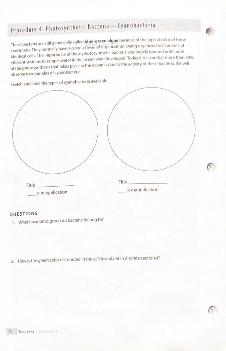 Procedure 4: Photosynthetic Bacteria-Cyanobacteria
These bacteria are still generically called blue-green algae because of the typical color of these
specimens. They normally have a colonial level of organization, being organized in filaments of
identical cells. The importance of these photosynthetic bacteria was largely ignored until more
efficient systems to sample water in the ocean were developed. Today it is clear that more than 50%
of the photosynthesis that takes place in the ocean is due to the activity of these bacteria. We will
observe two samples of cyanobacteria.
Sketch and label the types of cyanobacteria available.
Title
x magnification
QUESTIONS
1. What taxonomic group do bacteria belong to?
Title
76 Bacteria Exercise 9
x magnification
2. How is the green color distributed in the cell (evenly or in discrete sections)?