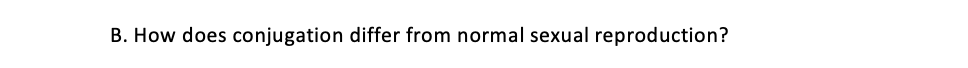 B. How does conjugation differ from normal sexual reproduction?
