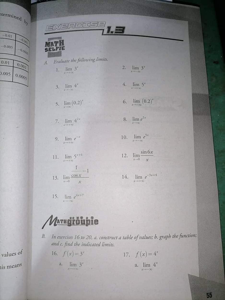 etermined
by
EXERCISE
1.3
-0.01
-0.001
MATH
SELFIE
-0.005
0.0005
0.01
Evaluate the following limits.
A.
0.001
lim 3*
2.
lim 3*
1.
0.005 | 0.0005
ポーー
4.
lim 5*
3. lim 4*
ー+00
5. lim (0.2)
6.
lim (0.2)
7.
lim 42*
8. lim e*
10.
lim e*
9.
lim e*
sin 6x
11.
lim 5*+6
12. lim
x-0
14.
lim e-3x+4
13. lim cosx
xー0
x+00
15.
lim e*+7
Morngitöihie
In exercises 16 to 20, a. construct a table of values; b. graph the function;
and c. find the indicated limits.
B.
values of
16. f(x)= 3*
17. f(x)= 4*
a.
lim 3*
a. lim 4*
nis means
ズトーX0
55
