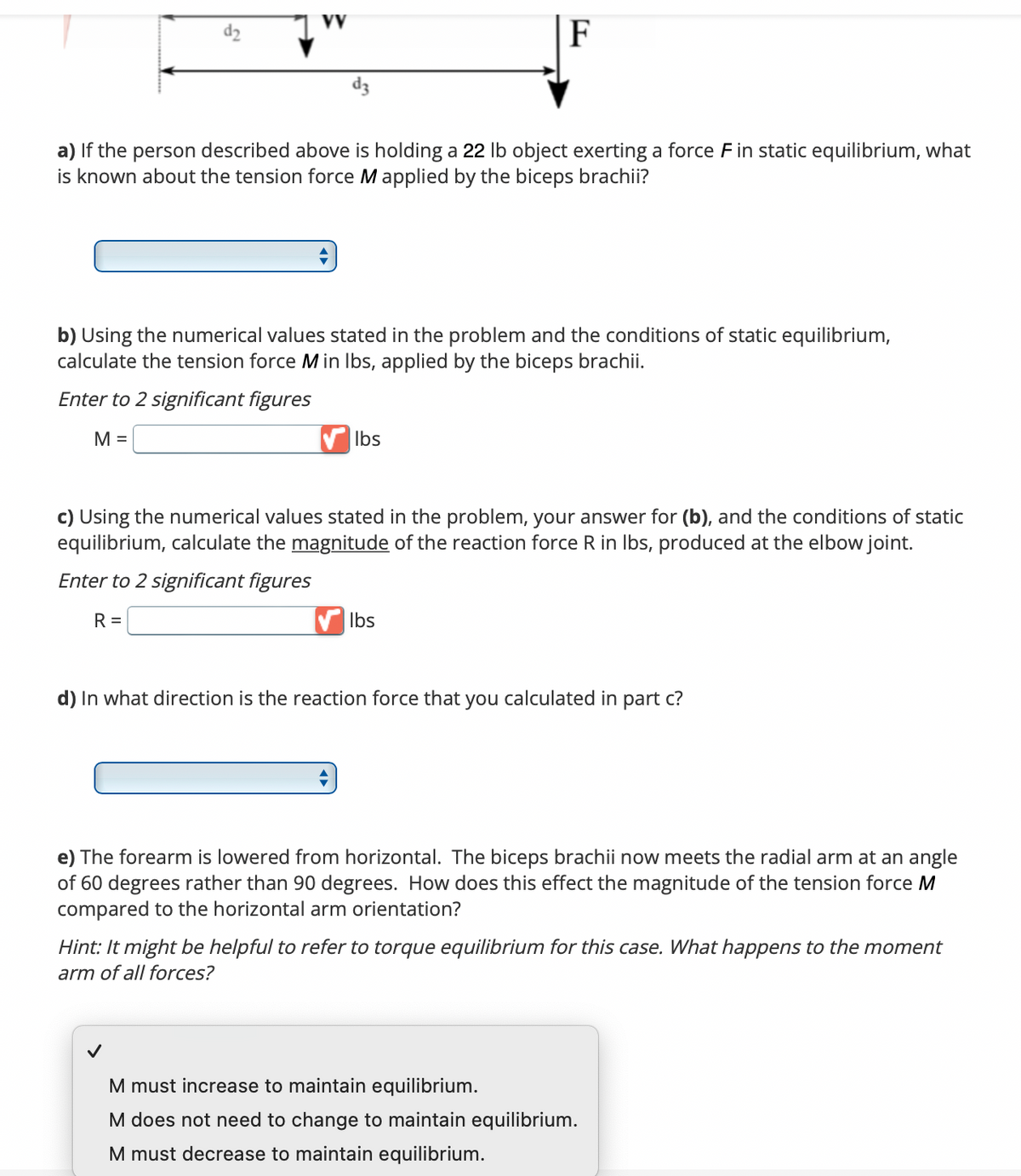 a) If the person described above is holding a 22 lb object exerting a force F in static equilibrium, what
is known about the tension force M applied by the biceps brachii?
F
b) Using the numerical values stated in the problem and the conditions of static equilibrium,
calculate the tension force M in lbs, applied by the biceps brachii.
Enter to 2 significant figures
M =
lbs
c) Using the numerical values stated in the problem, your answer for (b), and the conditions of static
equilibrium, calculate the magnitude of the reaction force R in lbs, produced at the elbow joint.
Enter to 2 significant figures
R =
lbs
d) In what direction is the reaction force that you calculated in part c?
e) The forearm is lowered from horizontal. The biceps brachii now meets the radial arm at an angle
of 60 degrees rather than 90 degrees. How does this effect the magnitude of the tension force M
compared to the horizontal arm orientation?
Hint: It might be helpful to refer to torque equilibrium for this case. What happens to the moment
arm of all forces?
M must increase to maintain equilibrium.
M does not need to change to maintain equilibrium.
M must decrease to maintain equilibrium.