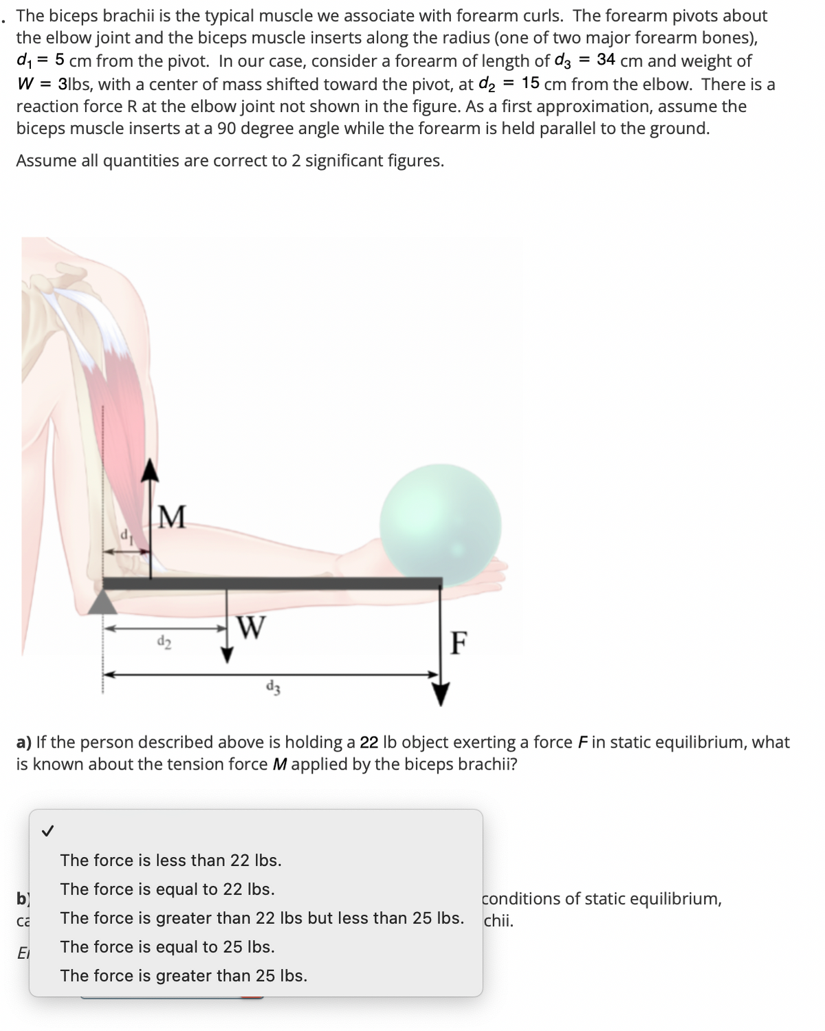 The biceps brachii is the typical muscle we associate with forearm curls. The forearm pivots about
the elbow joint and the biceps muscle inserts along the radius (one of two major forearm bones),
d₁ = = 5 cm from the pivot. In our case, consider a forearm of length of d3 = 34 cm and weight of
W = 3lbs, with a center of mass shifted toward the pivot, at d₂ = 15 cm from the elbow. There is a
reaction force R at the elbow joint not shown in the figure. As a first approximation, assume the
biceps muscle inserts at a 90 degree angle while the forearm is held parallel to the ground.
Assume all quantities are correct to 2 significant figures.
b)
Ca
M
El
W
a) If the person described above is holding a 22 lb object exerting a force F in static equilibrium, what
is known about the tension force M applied by the biceps brachii?
F
The force is less than 22 lbs.
The force is equal to 22 lbs.
The force is greater than 22 lbs but less than 25 lbs. chii.
The force is equal to 25 lbs.
The force is greater than 25 lbs.
conditions of static equilibrium,