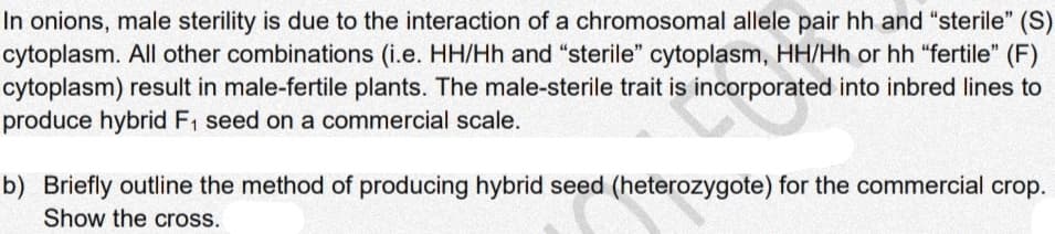 In onions, male sterility is due to the interaction of a chromosomal allele pair hh and "sterile" (S)
cytoplasm. All other combinations (i.e. HH/Hh and "sterile" cytoplasm, HH/Hh or hh "fertile" (F)
cytoplasm) result in male-fertile plants. The male-sterile trait is incorporated into inbred lines to
produce hybrid F, seed on a commercial scale.
b) Briefly outline the method of producing hybrid seed (heterozygote) for the commercial crop.
Show the cross.

