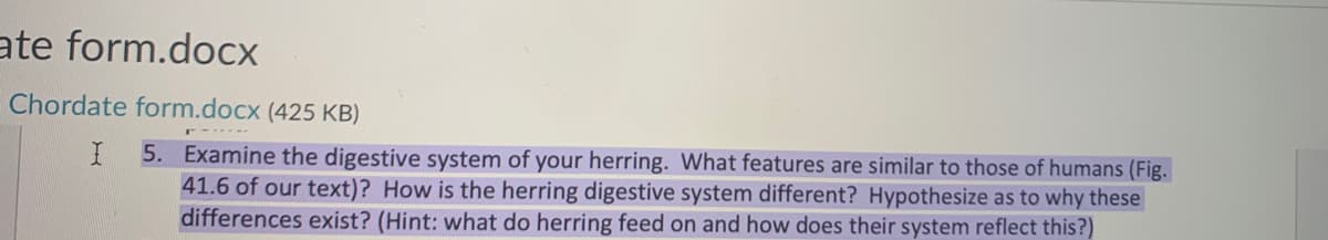 ate form.docx
Chordate form.docx (425 KB)
I 5. Examine the digestive system of your herring. What features are similar to those of humans (Fig.
41.6 of our text)? How is the herring digestive system different? Hypothesize as to why these
differences exist? (Hint: what do herring feed on and how does their system reflect this?)
