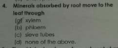 4. Minerals absorbed by root move to the
leaf through
(g) xylem
(b) phloem
{c) sieve tubes
(d) none of the above.
