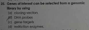 25. Genes of Interest can be selected from a genomic
library by using
(a) cloning vectors
6) DNA probes
(c) gene targets
(d) restriction enzymes.
