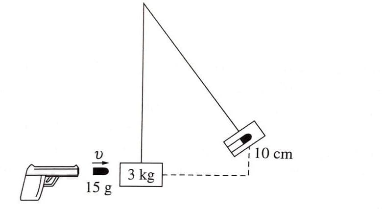 10 cm
3 kg
15 g
