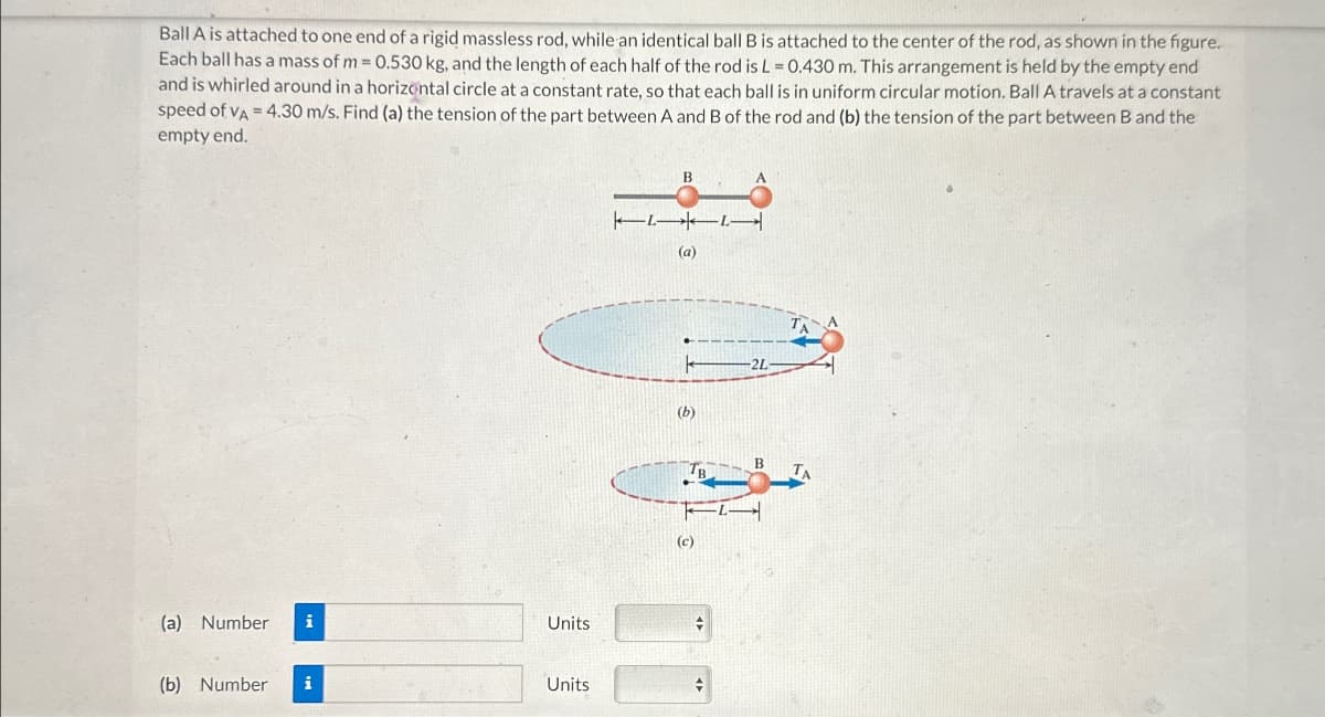 Ball A is attached to one end of a rigid massless rod, while an identical ball B is attached to the center of the rod, as shown in the figure.
Each ball has a mass of m = 0.530 kg, and the length of each half of the rod is L = 0.430 m. This arrangement is held by the empty end
and is whirled around in a horizontal circle at a constant rate, so that each ball is in uniform circular motion. Ball A travels at a constant
speed of VA = 4.30 m/s. Find (a) the tension of the part between A and B of the rod and (b) the tension of the part between B and the
empty end.
(a) Number
Units
(b) Number
Units
B
┣━7━7━
(a)
+
2L-
(b)
B TA
(c)