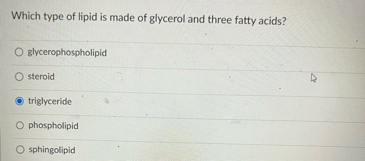 Which type of lipid is made of glycerol and three fatty acids?
O glycerophospholipid
steroid
triglyceride
O phospholipid
O sphingolipid