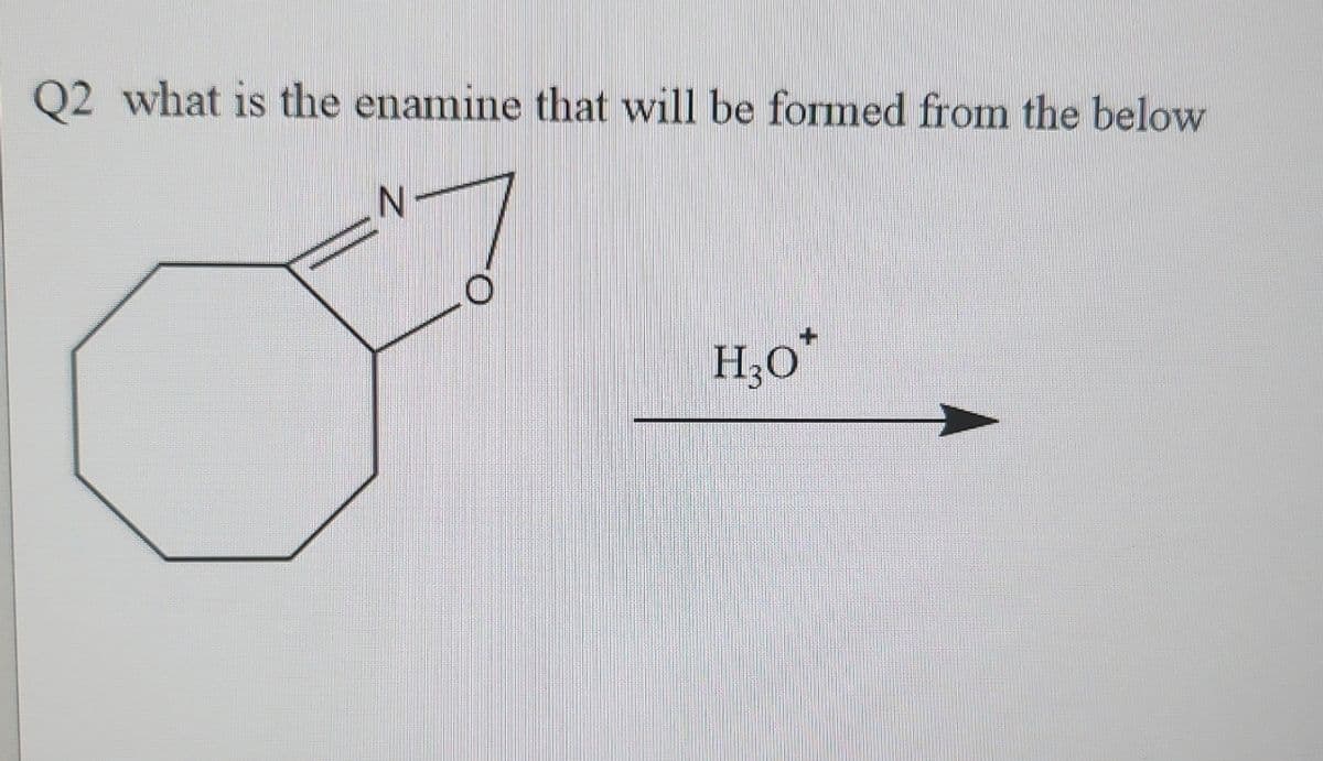 Q2 what is the enamine that will be formed from the below
N
O
H₂O*