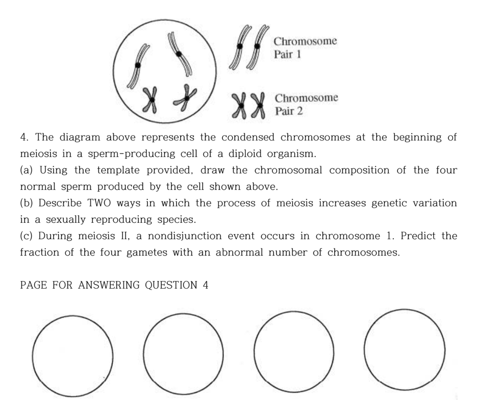 $8
Chromosome
Pair 1
X X XX
4. The diagram above represents the condensed chromosomes at the beginning of
meiosis in a sperm-producing cell of a diploid organism.
(a) Using the template provided, draw the chromosomal composition of the four
normal sperm produced by the cell shown above.
PAGE FOR ANSWERING QUESTION 4
Chromosome
Pair 2
(b) Describe TWO ways in which the process of meiosis increases genetic variation
in a sexually reproducing species.
(c) During meiosis II, a nondisjunction event occurs in chromosome 1. Predict
fraction of the four gametes with an abnormal number of chromosomes.
оооо