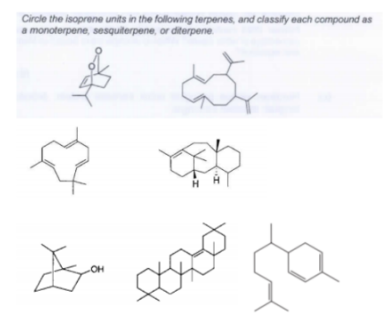 Circle the isoprene units in the following terpenes, and classify each compound as
a monoterpene, sesquiterpene, or diterpene.
OH
