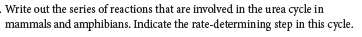 Write out the series of reactions that are involved in the urea cycle in
mammals and amphibians. Indicate the rate-determining step in this cycle.
