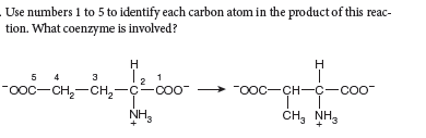 Use numbers 1 to 5 to identify each carbon atom in the productof this reac-
tion. What coenzyme is involved?
H
5 4
"00c-CH,-CH,-¢-c00
3
"ooc-CH-ç-coo-
NH,
CH, NH,
