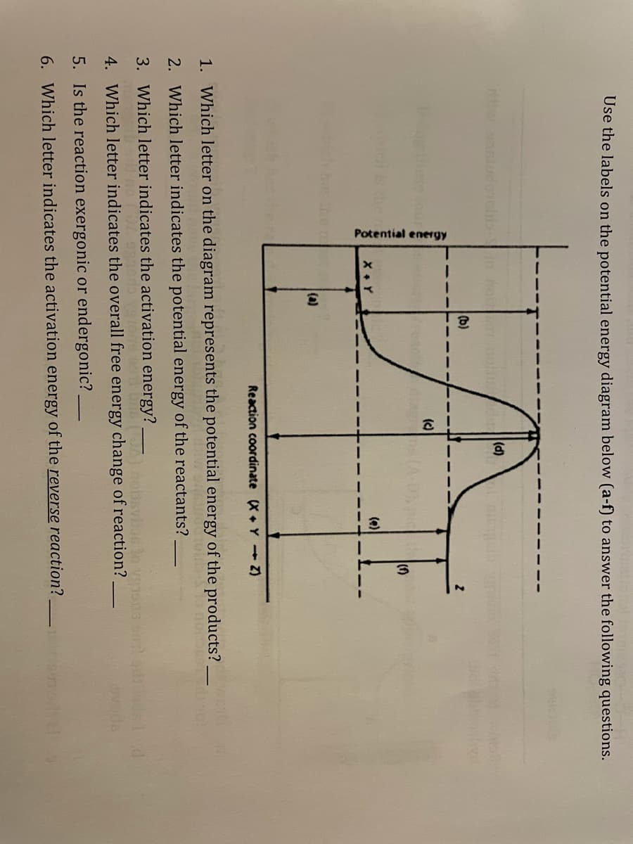 Potential
energy
Use the labels on the potential energy diagram below (a-f) to answer the following questions.
(d)
(b)
(c)
(e)
(a)
Reaction coordinate (X + Y 2)
1. Which letter on the diagram represents the potential energy of the products?.
2. Which letter indicates the potential energy of the reactants?
3. Which letter indicates the activation energy? – syaslo veons d odsd
4. Which letter indicates the overall free energy change of reaction?
5. Is the reaction exergonic or endergonic?
6. Which letter indicates the activation energy of the reverse reaction?
