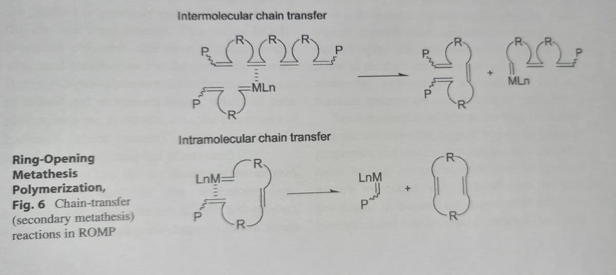 Intermolecular chain transfer
MLn
MLn
P.
Intramolecular chain transfer
Ring-Opening
Metathesis
LnM=
LnM
Polymerization,
Fig. 6 Chain-transfer
(secondary metathesis)
reactions in ROMP
