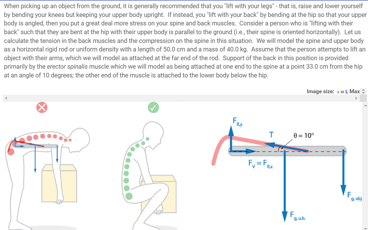 When picking up an object from the ground, it is generally recommended that you "lift with your legs" - that is, raise and lower yourself
by bending your knees but keeping your upper body upright. If instead, you "lift with your back" by bending at the hip so that your upper
body is angled, then you put a great deal more stress on your spine and back muscles. Consider a person who is "lifting with their
back" such that they are bent at the hip with their upper body is parallel to the ground (i.e., their spine is oriented horizontally). Let us
calculate the tension in the back muscles and the compression on the spine in this situation. We will model the spine and upper body
as a horizontal rigid rod or uniform density with a length of 50.0 cm and a mass of 40.0 kg. Assume that the person attempts to lift an
object with their arms, which we will model as attached at the far end of the rod. Support of the back in this position is provided
primarily by the erector spinalis muscle which we will model as being attached at one end to the spine at a point 33.0 cm from the hip
at an angle of 10 degrees; the other end of the muscle is attached to the lower body below the hip.
FR
Ry
T 0=10°
Fy=Fx
R,x
F
Image size: S M L Max +
▶
g, u.b.
F
g, obj