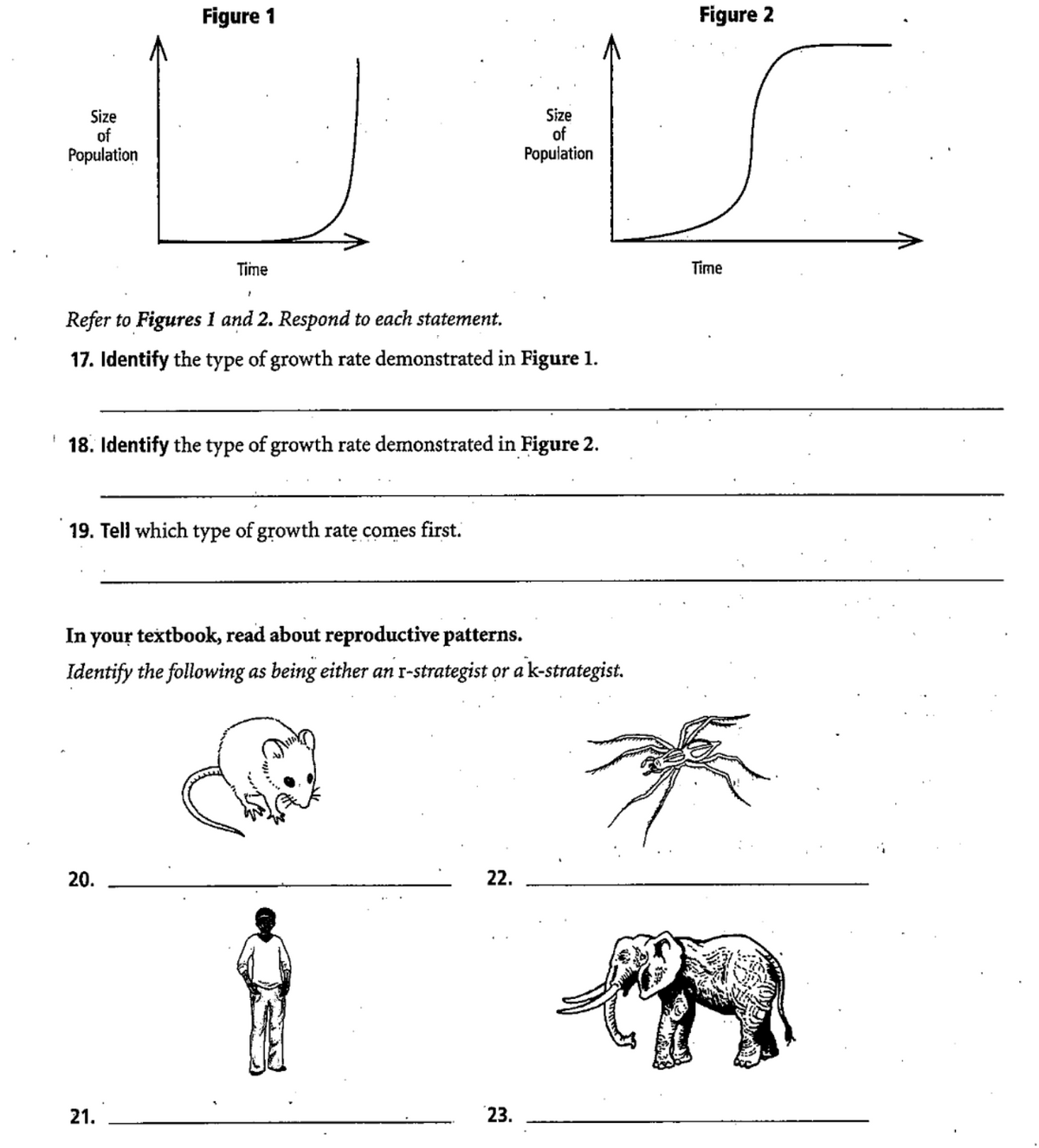 Figure 1
Figure 2
Size
of
Population
Size
of
Population
Time
Time
Refer to Figures 1 and 2. Respond to each statement.
17. Identify the type of growth rate demonstrated in Figure 1.
18. Identify the type of growth rate demonstrated in Figure 2.
19. Tell which type of growth ratę comes first.
In your textbook, read about reproductive patterns.
Identify the following as being either an r-strategist or a k-strategist.
- an:
20.
22.
21.
23.
