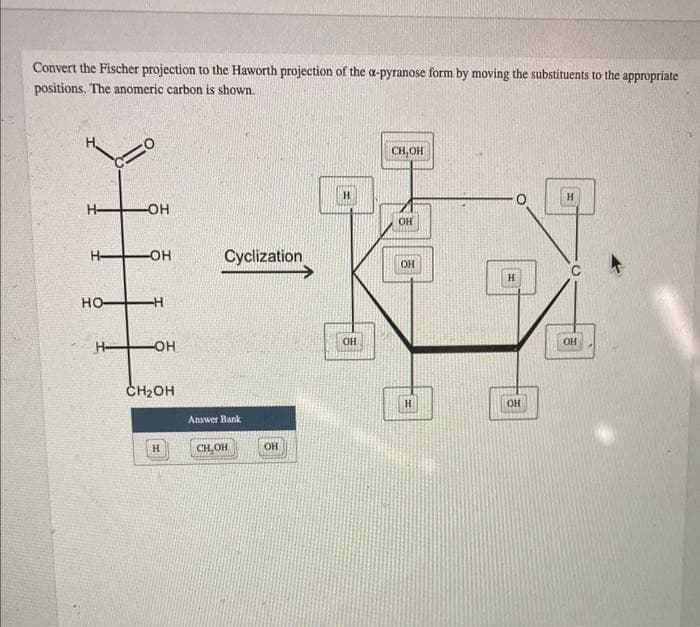 Convert the Fischer projection to the Haworth projection of the a-pyranose form by moving the substituents to the appropriate
positions. The anomeric carbon is shown.
CH, OH
H-
OH
OH
H OH
Cyclization
OH
H
но-
OH
OH
H-
-O-
CH2OH
H.
OH
Answer Bank
CH,OH
OH
