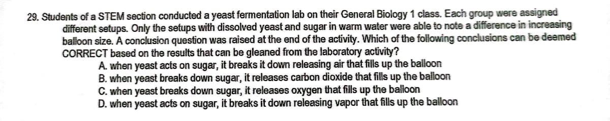 29. Students of a STEM section conducted a yeast fermentation lab on their General Biology 1 class. Each group were assigned
different setups. Only the setups with dissolved yeast and sugar in warm water were able to note a difference in increasing
balloon size. A conclusion question was raised at the end of the activity. Which of the following conclusions can be deemed
CORRECT based on the results that can be gleaned from the laboratory activity?
A. when yeast acts on sugar, it breaks it down releasing air that fills up the balloon
B. when yeast breaks down sugar, it releases carbon dioxide that fills up the balloon
C. when yeast breaks down sugar, it releases oxygen that fills up the balloon
D. when yeast acts on sugar, it breaks it down releasing vapor that fills up the balloon
