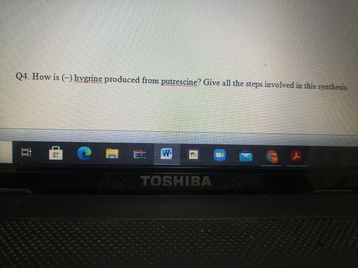 Q4 How is () hygrine produced from putrescine? Give all the steps involved in this synthesis.
W
TOSHIBA
