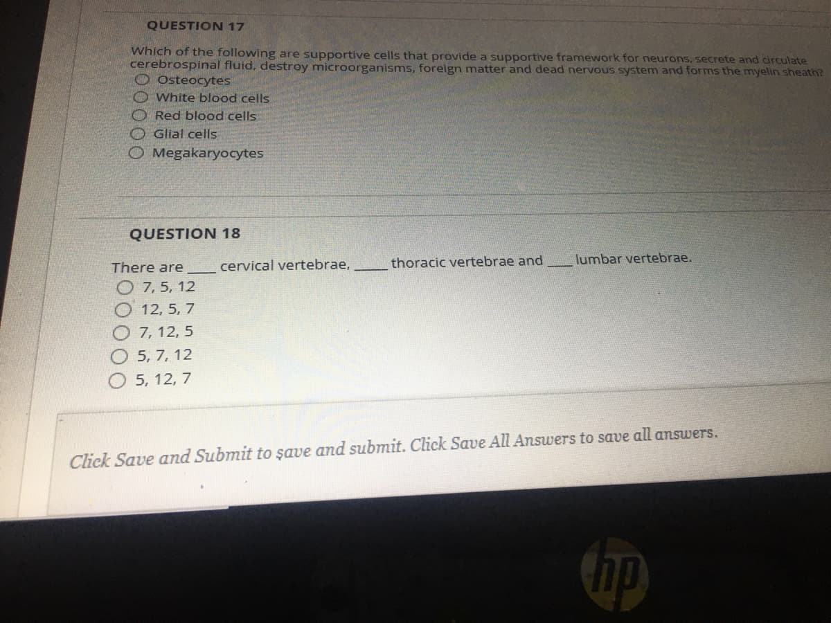 QUESTION 17
Which of the following are supportive cells that provide a supportive framework for neurons, secrete and circulate
cerebrospinal fluid, destroy microorganisms, foreign matter and dead nervous system and forms the myelin sheath?
Osteocytes
White blood cells
Red blood cells
Glial cells
O Megakaryocytes
QUESTION 18
cervical vertebrae,
thoracic vertebrae and
lumbar vertebrae.
There are
O 7, 5, 12
12, 5, 7
7, 12, 5
O 5, 7, 12
5, 12, 7
Click Save and Submit to şave and submit. Click Save All Answers to save all answers.
