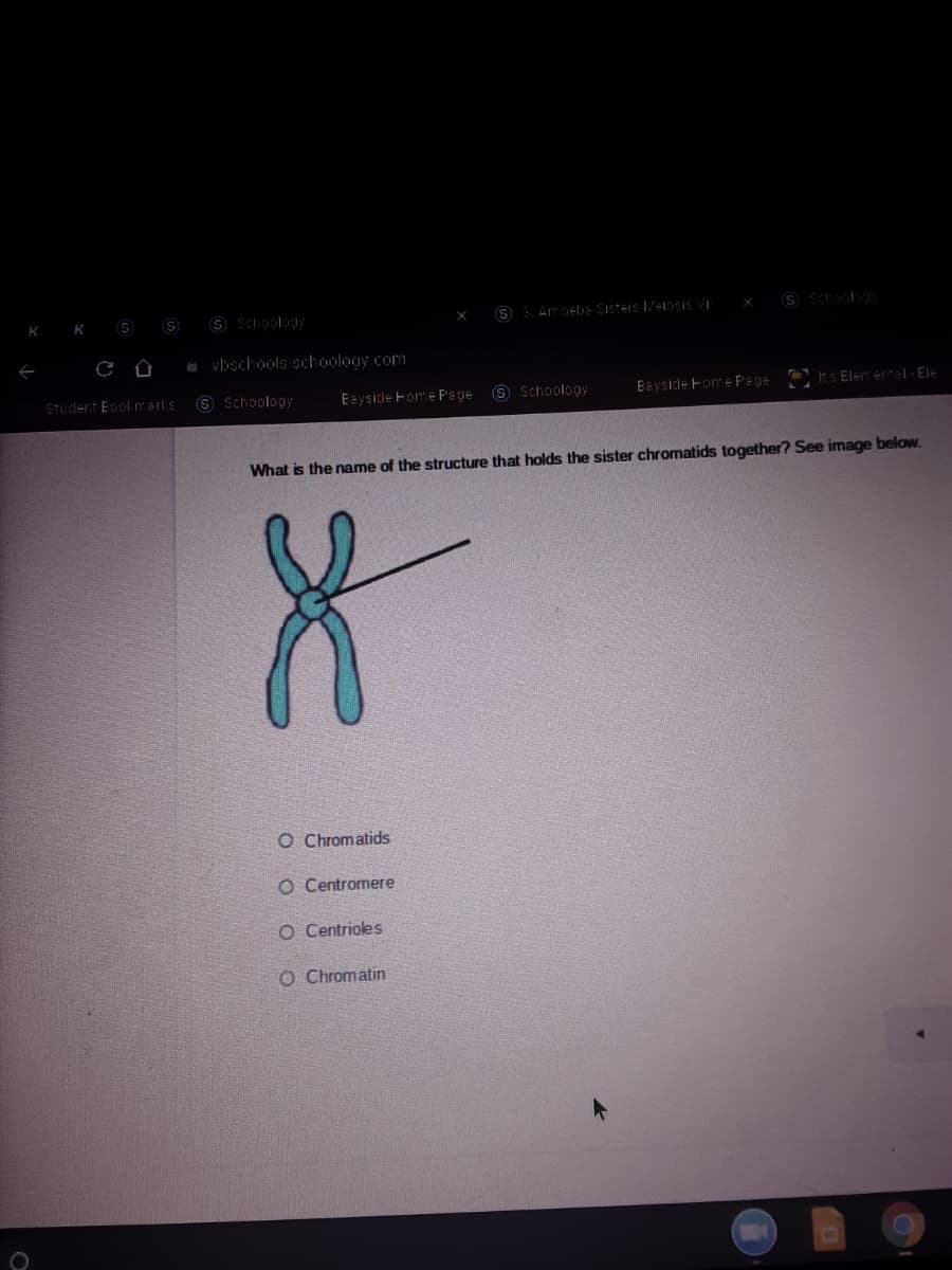 K K S S
S Schoology
S Aroebe Sisters MeiosiS VI
a vbschools schoology com
Student Eoolm erks
O Schoology
Eayside Fome Page
9 Schoology
Bayside Fome P'ege
Its Elemente|-Ele
What is the name of the structure that holds the sister chromatids together? See image below.
O Chromatids
O Centromere
O Centrioles
O Chromatin
