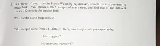 2. In a group of pine trees in Hardy-Weinberg equilibrium, smooth bark is dominant to
qugh bark. You obtain a DNA sample of many trees, and find that of 486 different
alleles, 312 encode for smooth bark.
What are the allele frequencies?
Ir this sample came from 243 different trees, how many would you expect to be:
Heterozygous?
Homozygous recessive?
