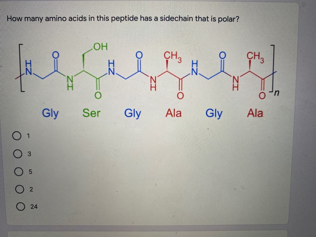 How many amino acids in this peptide has a sidechain that is polar?
HO
CH3
CH3
N.
Gly
Ser
Gly
Ala
Gly
Ala
1
3
2
O 24
