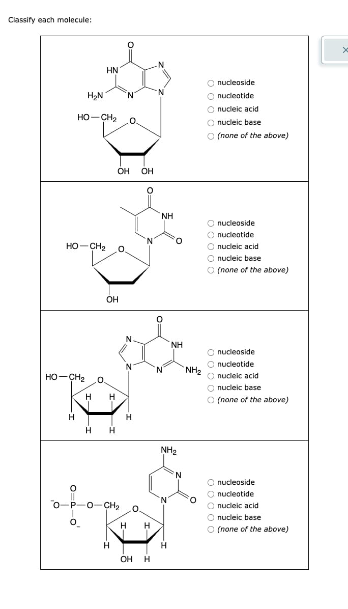 Classify each molecule:
HO–CH2
H
H₂N
O=D
HO–CH2 O
HN
HỌ—CH, O
O
OH
H H
H H
0=
OH OH
-P-O-CH₂
H
N
N.
N
H
H H
OH H
N
N
῾ΝΗ
O
'N
NH₂
N
ΝΗ
H
N
NH₂
O nucleoside
O nucleotide
O nucleic acid
O nucleic base
O (none of the above)
O nucleoside
O nucleotide
00000
O nucleic acid
O nucleic base
O (none of the above)
O nucleoside
O nucleotide
O nucleic acid
O nucleic base
O (none of the above)
O nucleoside
00000
O nucleotide
O nucleic acid
O nucleic base
O (none of the above)
x