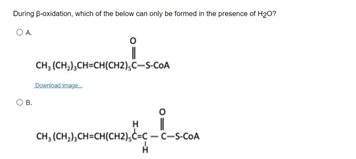 During B-oxidation, which of the below can only be formed in the presence of H20?
OA
CH, (CH,),CH=CH(CH2),c-s-COA
Downioadimage
OB.
CH, (CH,),CH=CH(CH2),CHÇ - C-s-COA

