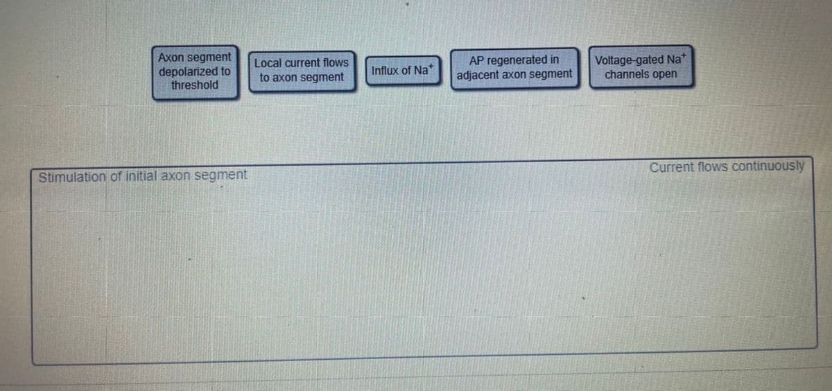 Axon segment
depolarized to
threshold
AP regenerated in
adjacent axon segment
Voltage-gated Na*
channels open
Local current flows
Influx of Na*
to axon segment
Current flows continuously
Stimulation of initial axon segment
