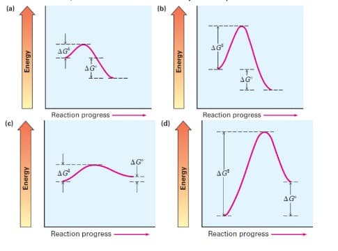 (a)
(b)
AG
AG
AG
AG
Reaction progress
Reaction progress
(c)
(d)
AG
AG
AG
AG
Reaction progress
Reaction progress
Energy
ABJau3
Energy
